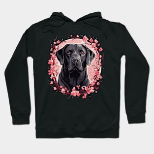 Black Labrador with cherry blossom illustration Hoodie